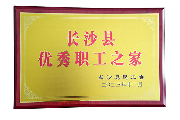 頂立工會(huì)榮獲“長(zhǎng)沙縣優(yōu)秀職工之家”稱(chēng)號(hào).jpg