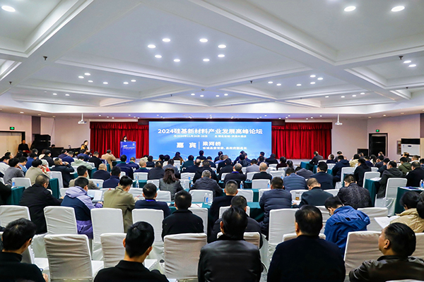 頂立科技參加硅基新材料高峰論壇，分享高純石英制備熱工裝備最新技術(shù) (2).jpg